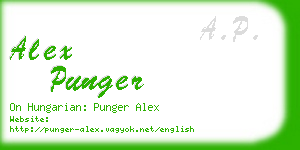 alex punger business card